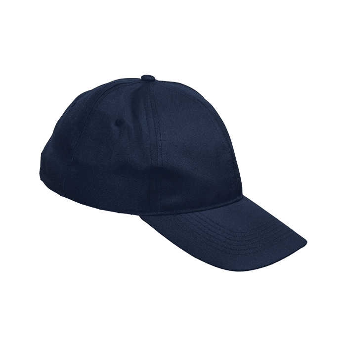 6 Panel Boost Cap