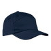 6 Panel Carbon Cap - Caps