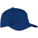 6 Panel Carbon Cap  Royal / STD / Last Buy - Caps