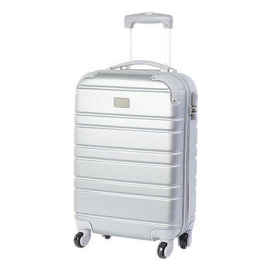 BB0131 - Hard Shell Cabin Bag Silver / STD / Last Buy - Bags