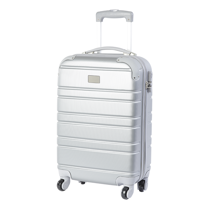 BB0131 - Hard Shell Cabin Bag Silver / STD / Last Buy - Bags on Wheels