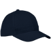 6 Panel Raven Cap - Caps