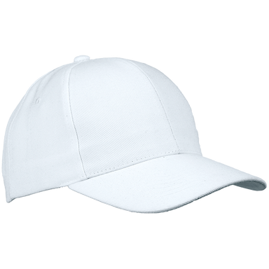 6 Panel Raven Cap  White / STD / Last Buy - Caps