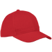 6 Panel Raven Cap - Caps