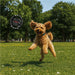 Benji Pet Set - Pets,Pet Accessories,Pets