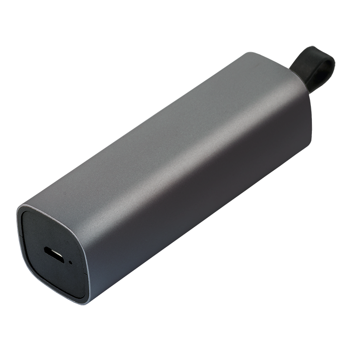 Bluetooth Earphones With Power Bank Case Gunmetal / STD / Last Buy - Technology