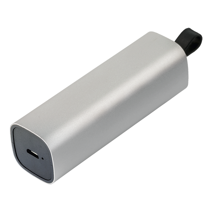 Bluetooth Earphones With Power Bank Case Silver / STD / Last Buy - Technology