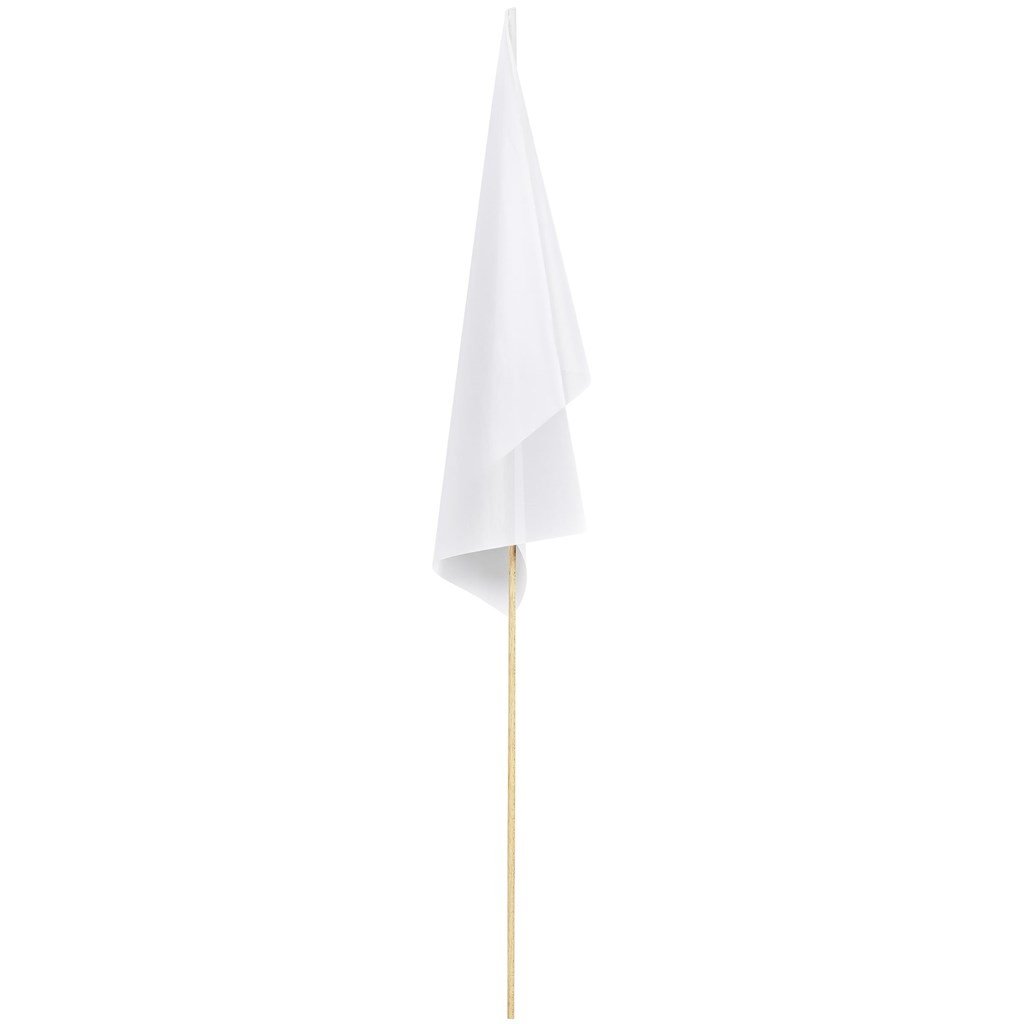 Champion Medium Hand Flag 450mm x 300mm - Indoor Flags
