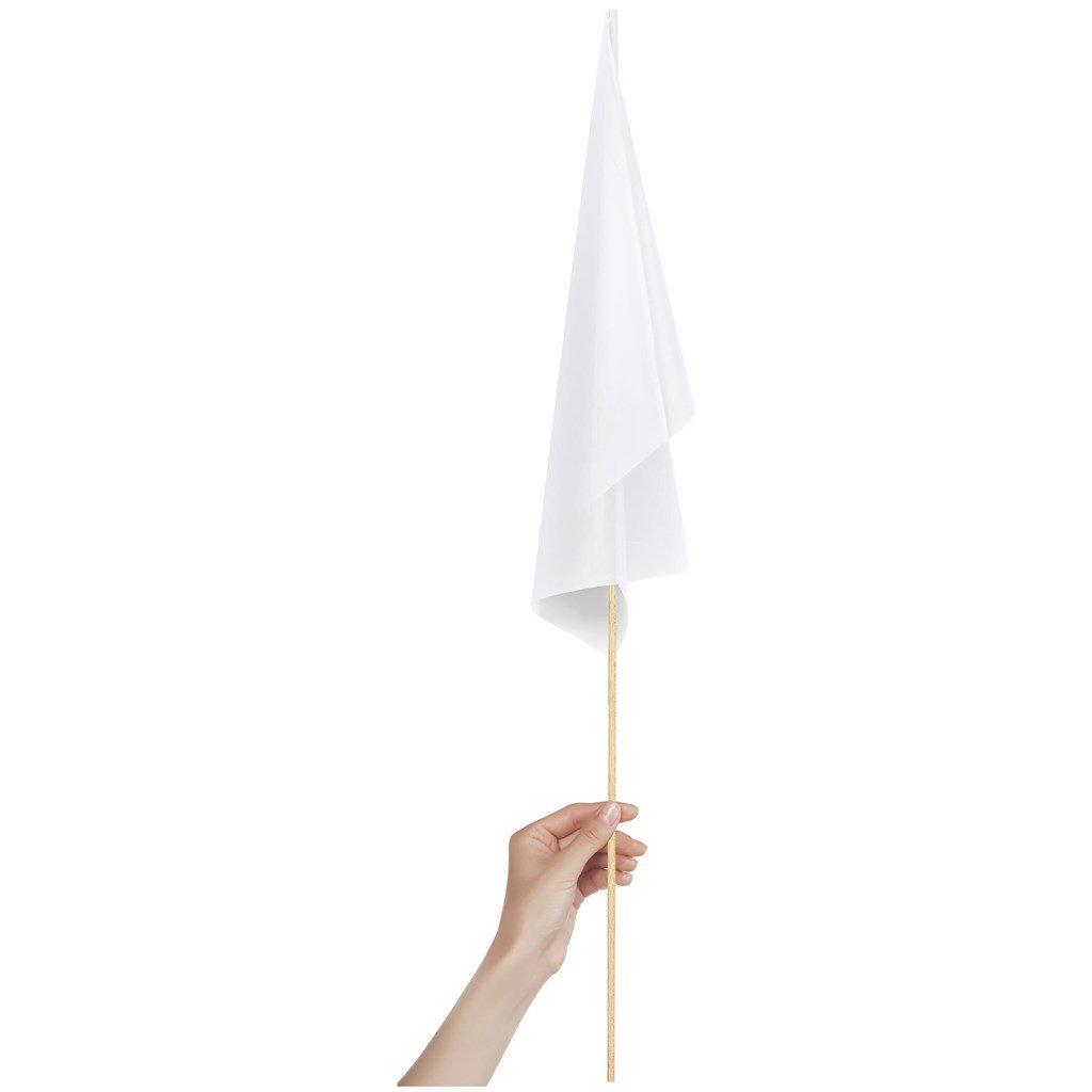 Champion Medium Hand Flag 450mm x 300mm - Indoor Flags