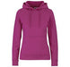 Ladies Omega Hooded Sweater-