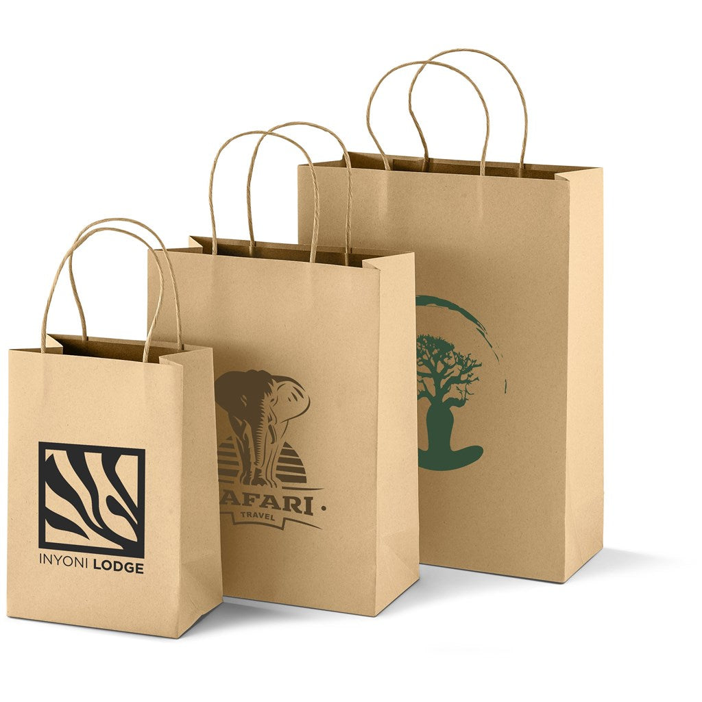 Large Eco-Friendly Paper Gift Bag Natural / NT - Bags
