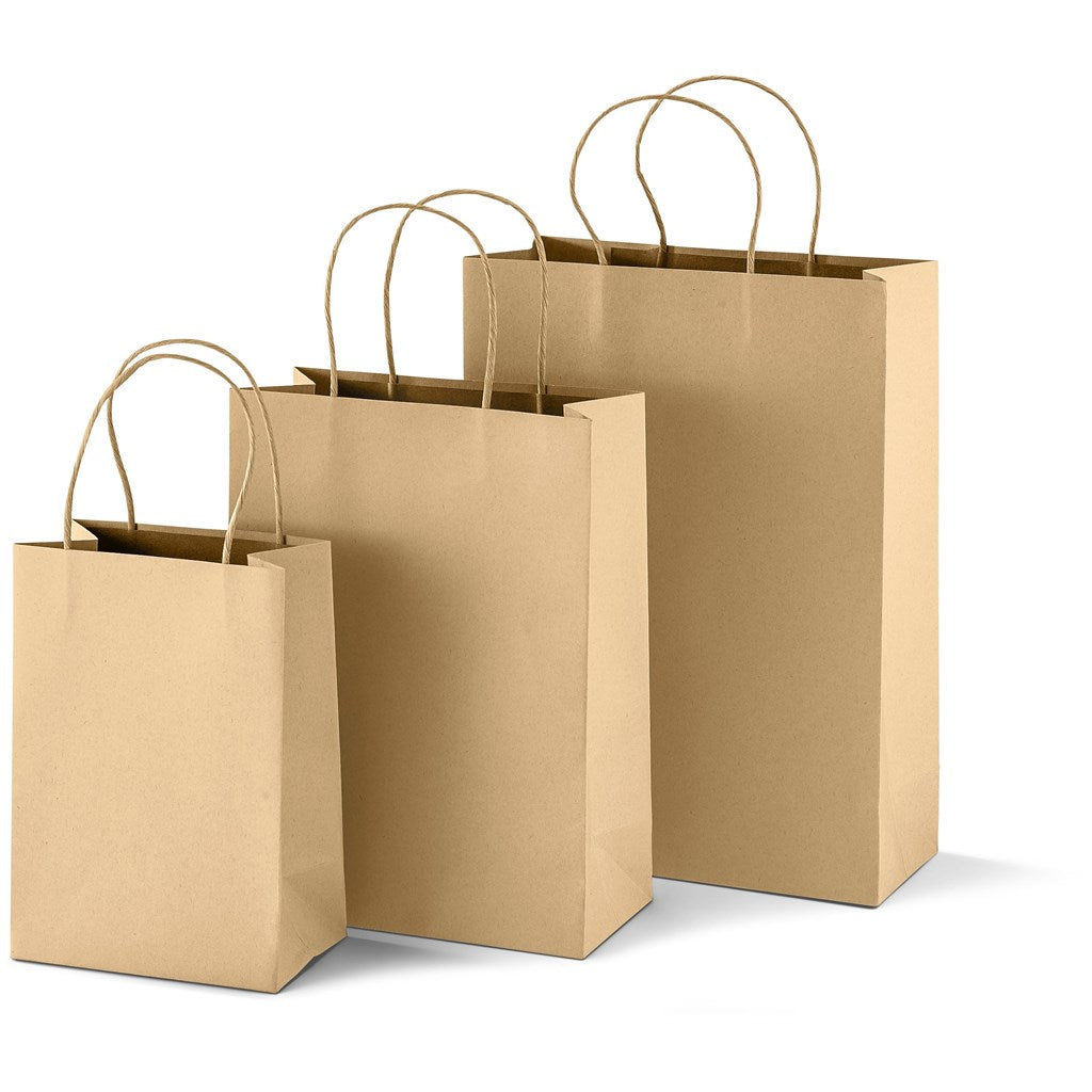 Large Eco-Friendly Paper Gift Bag Natural / NT - Bags