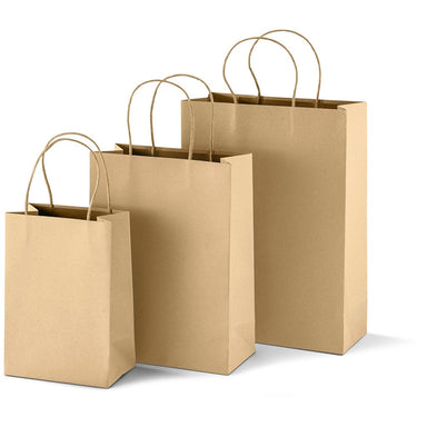 Large Eco-Friendly Paper Gift Bag Natural / NT - Bags
