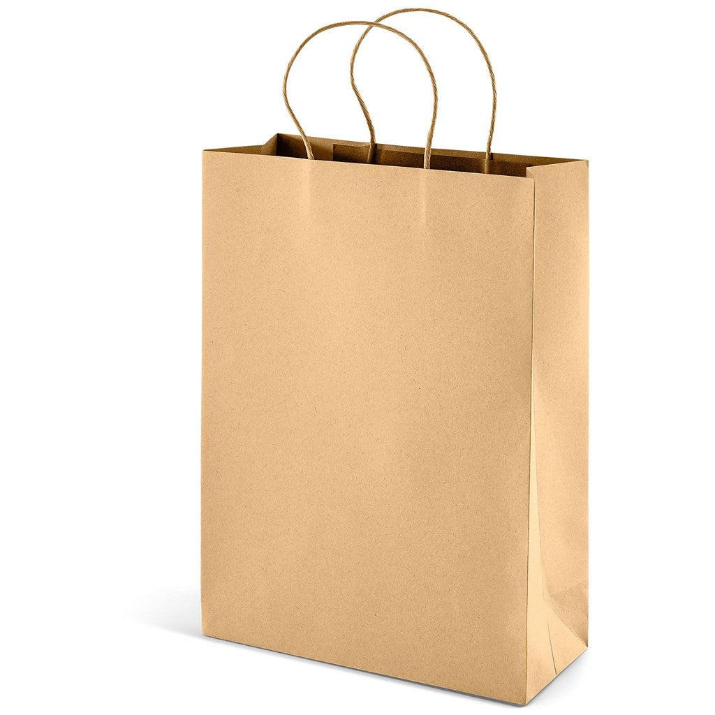 Large Eco-Friendly Paper Gift Bag Natural / NT - Bags
