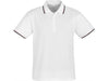 Mens Cambridge Golf Shirt - Black Red Only-