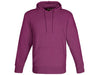 Mens Omega Hooded Sweater-
