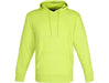 Mens Omega Hooded Sweater-