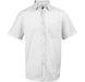 Mens Short Sleeve Duke Shirt - White Only-L-White-W