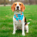 Pre-Production Sample Custom Tyson Small Polyester Dog Bandana S / SOLID WHITE - Pet Accessories