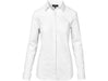 Ladies Long Sleeve Taylor Shirt-