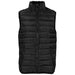 Mens Norquay Insulated Bodywarmer-2XL-Black-BL