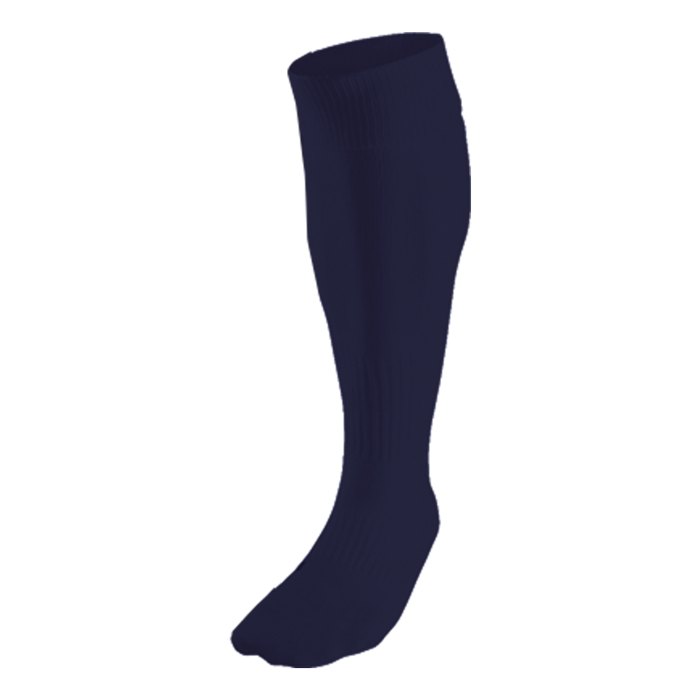 Team Sport Socks Navy / Sock 3-5 / Regular