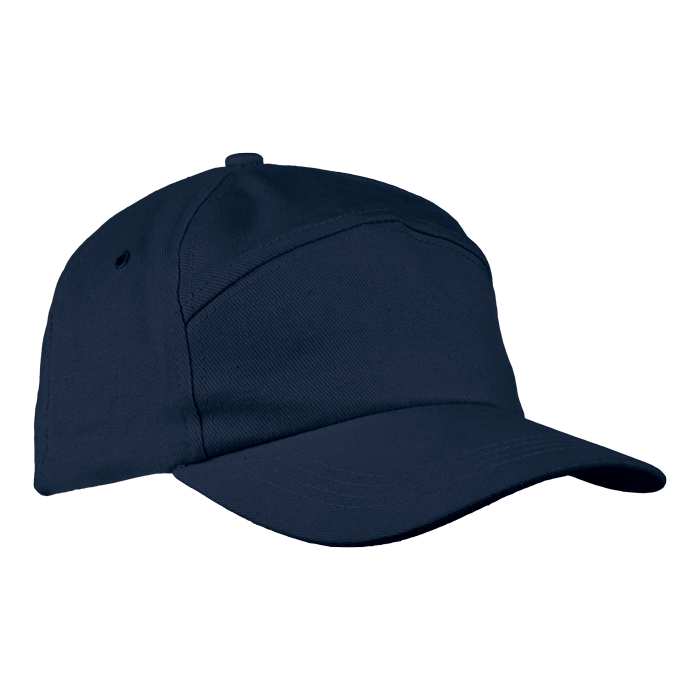 6 Panel Carbon Cap